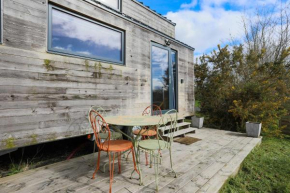 Très Jolie Tiny House Tout Confort
